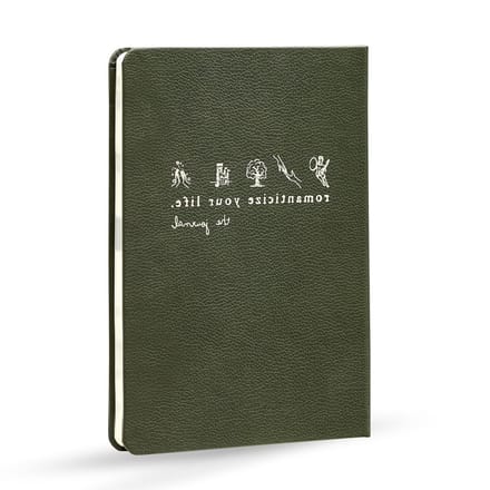 Geleide Dankbaarheidsdagboek - Mindfulness Journal - Dagelijkse Reflectie - 200+ Tips - Niet gespecificeerd - Niet gespecificeerd