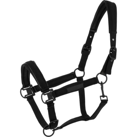 Halster voor paarden Equithème Pearl
