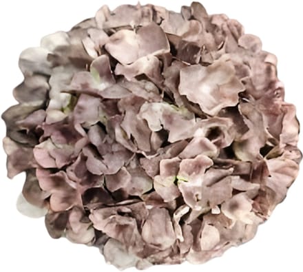 Kunst hortensia tak bruin 92 cm Buitengewoon de Boet
