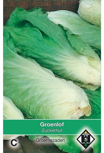 Van Hemert Zaden Groenlof Zuckerhut