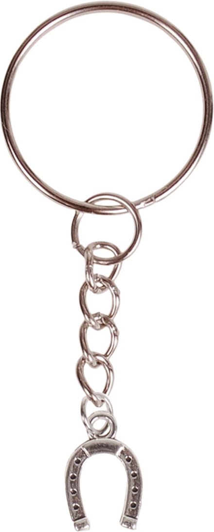 Sleutelhanger - Hangertje Hoefijzer zilverkleurig 1cm