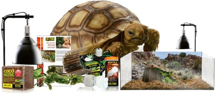 Exo Terra EX kit terrarium landschildpad