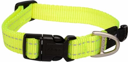 Rogz For Dogs Nitelife Hondenhalsband - 11 mm x 20-32 cm - Geel