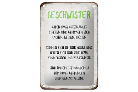 Blechschild Spruch 12x18cm Geschwister füreinander da