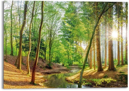 Schilderij Zonnig bos - 100 x 140 - Hout - REINDERS