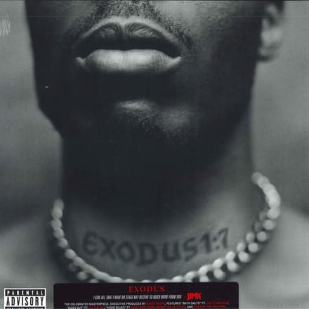 DMX - Exodus (LP)