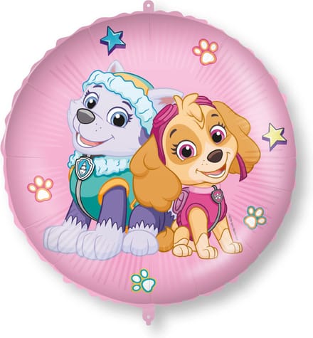 Vegaoo - Skye en Everest folieballon 46 cm