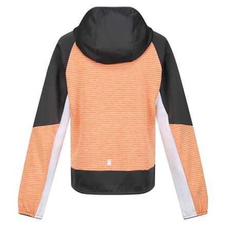 Regatta Kinder/Kids Prenton II Hooded Soft Shell Jacket (Abrikoosplet/Grijs)