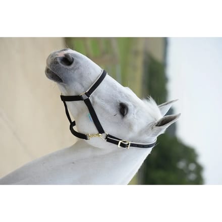 Bucas Halster  Dublin - Zwart-zilver - extra Groot