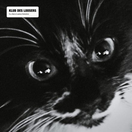 Le Chat Et Les Autres Histoires