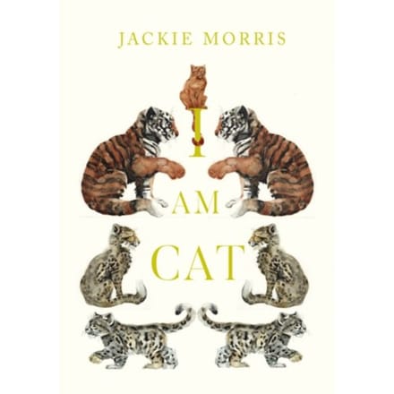I Am Cat - Jackie Morris