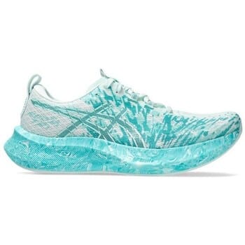 Hardloopschoenen Asics Noosa Tri 16