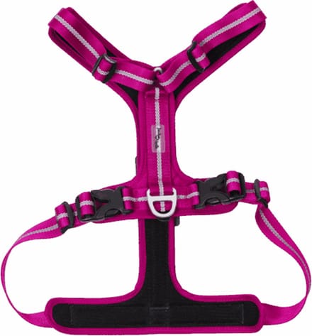 Jack And Vanilla - Tuigjes - Expedition Sky Tuigje - Fuchsia - M Expsh4230 - 175142