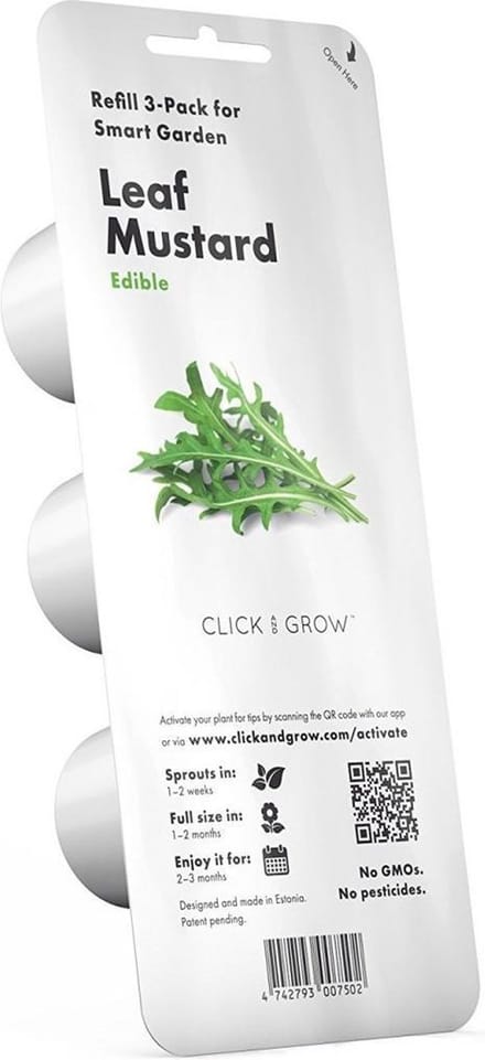 click and grow Leaf Mustard plant pods