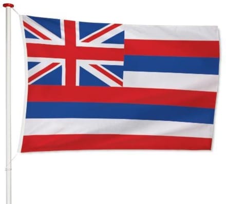 Hawaiiaanse Vlag Hawaï 100x150cm - Kwaliteitsvlag - Geschikt voor buiten