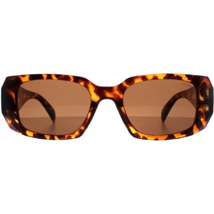 Atum Nyx C2 glanzende havana bruine zonnebril