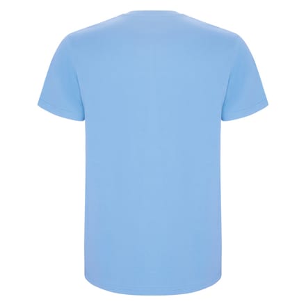 Roly Heren Stafford T-Shirt (Hemelsblauw)