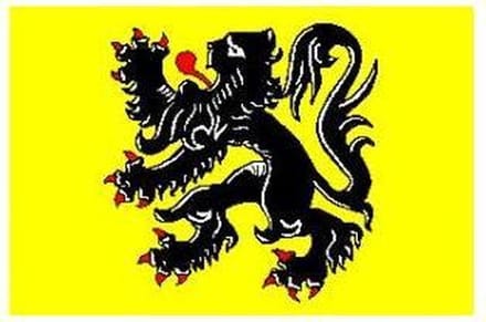 New Age Devi - Vlaamse Vlag - 90/150CM - Belgische trots - Vlaanderen