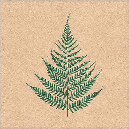 Ambiente - Servetten 'Fern Leave' (20 stuks)