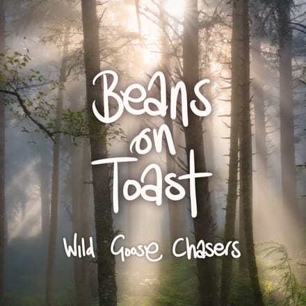 Beans On Toast - Wild Goose Chasers (CD)