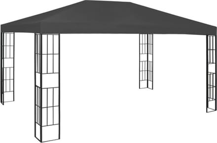 vidaXL - Prieel - 3x4 - m - antraciet