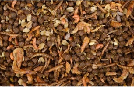 Oswalt - Egelvoer met Insecten 2.5L / 1.6KG - Egelvoer
