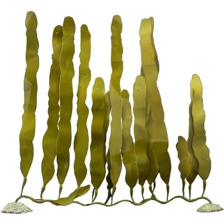 Kunstplant aquariumdecoratie Aqua Della Caulerpa