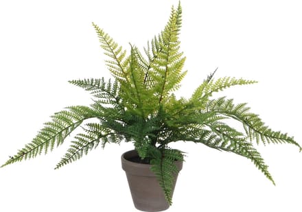 Mica Decorations Kunstplant - varen - groen - 36 x 40 cm