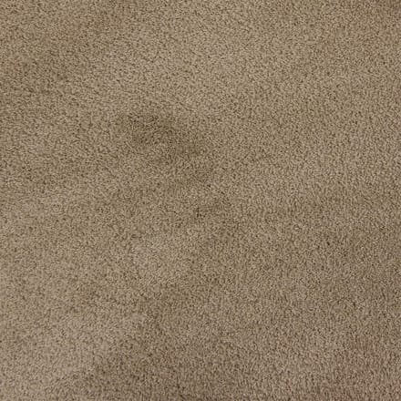 Vloerkleed Xilento Silky Soft Dessert | 170 x 230 cm
