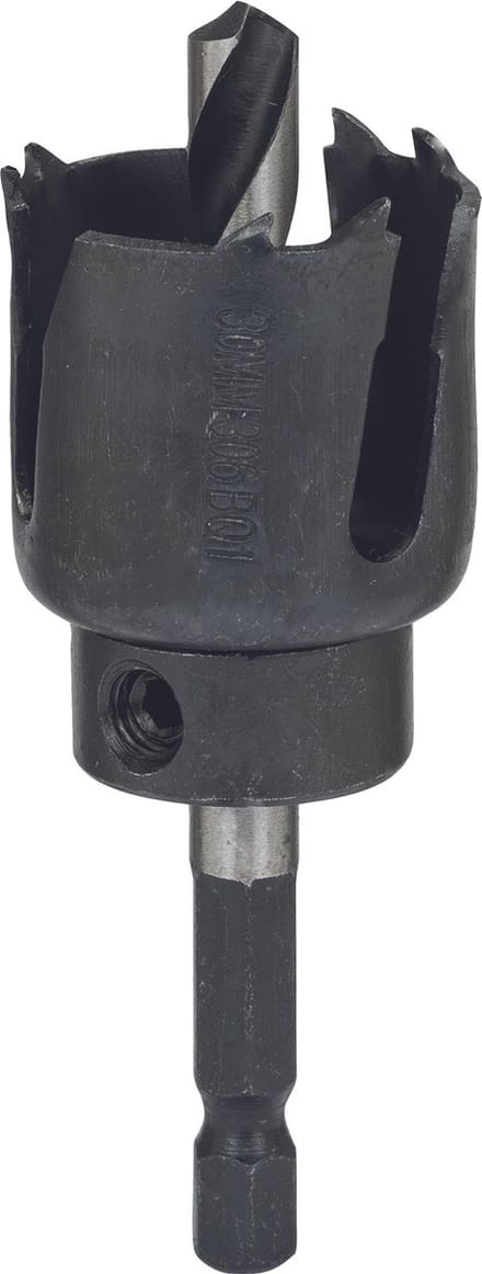 Bosch Accessories 2609256D02 Gatenzaag 30 mm 1 stuk(s)