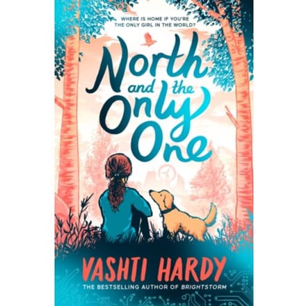 North And The Only One - Vashti Hardy