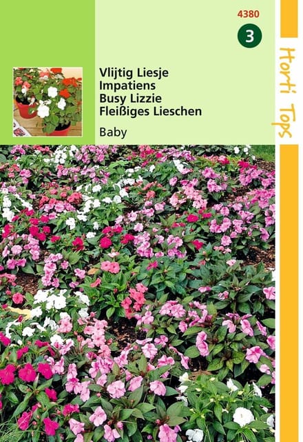 2 stuks - Hortitops - Impatiens Walleriana Baby Gemengd