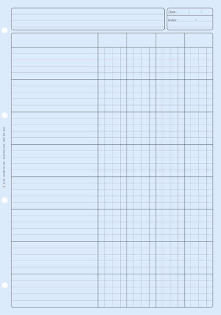 ELVE Blokcontrole 'ContrÃ´le interne', 80 pagina's, bleu