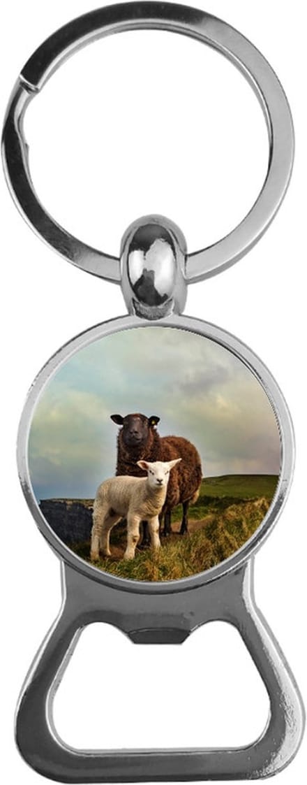 Bieropener Glas - Schapen