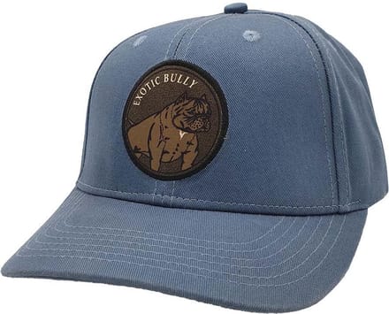 Lauren Rose - Exotic Bully Dog Patch - Pet - Licht Blauw - Onze Size