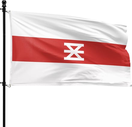 VlagDirect - Enschede vlag - Gemeente Enschede vlag - 90 x 150 cm.