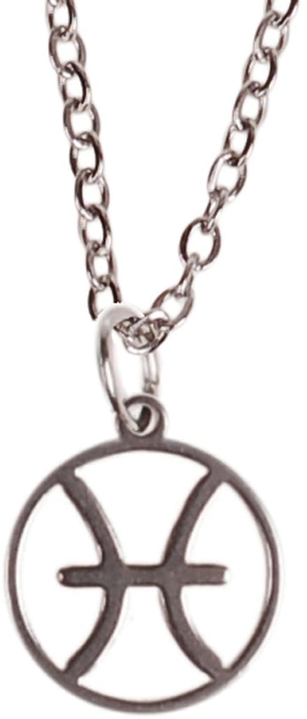 Ketting Zilverkleurig 55cm - Hangertje Sterrenbeeld RVS - Vissen