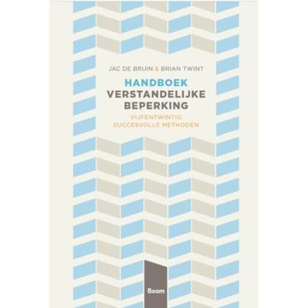 Handboek Verstandelijke Beperking