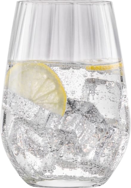 Schott Zwiesel Blossom Longdrinkglas met MP 79 - 0.557Ltr - 4 glazen