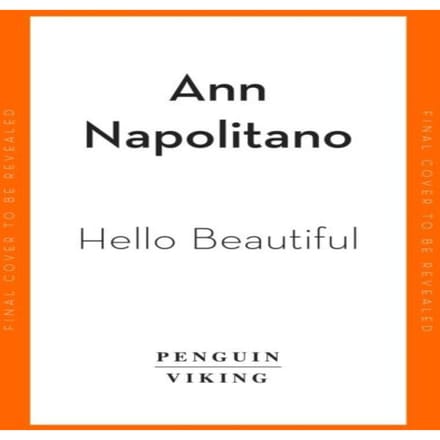 Hello Beautiful van Ann Napolitano Paperback Boek 9780241998496