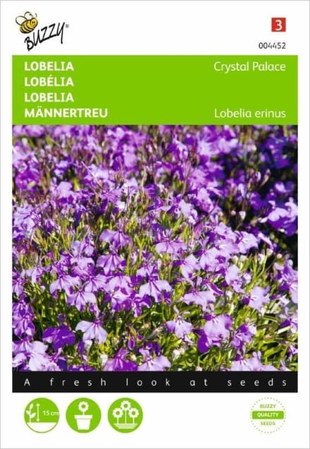 Lobelia Crystal Palace