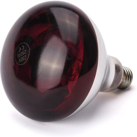 HENDI Infrarood warmtelamp – Rood licht – Versplinteringsbestendig – 230V/250W – ⌀125x(H)170mm