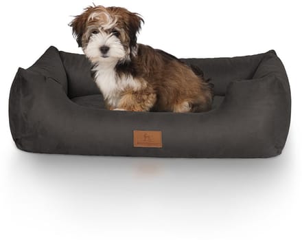Knuffelwuff Hondenbed Dreamline van velours Zwart S 70 x 50cm
