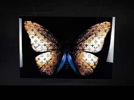 Golden butterfly lv schilderij op plexyglas 90x60cm