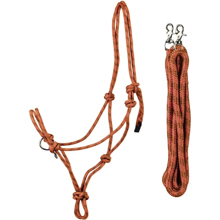 Halsband en longe voor wedstrijdpaard HORKA