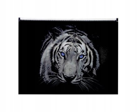 Panta Plast A4 Map met Rits - Veelkleurige PP Organizer