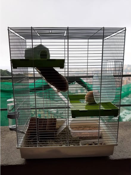 Hamsterkooi met Hamsterspeelgoed - Rattenkooi - Hamster Kooi met 3 Verdiepingen - Wit