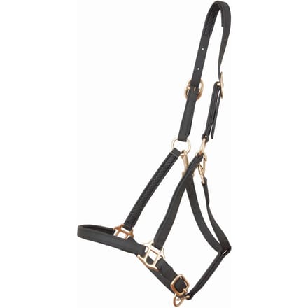 Halster voor paarden T de T Biotack®