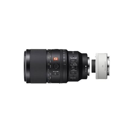 Sony SEL 100mm f/2.8 Macro GM OSS + SEL-20TC 2,0x teleconverter