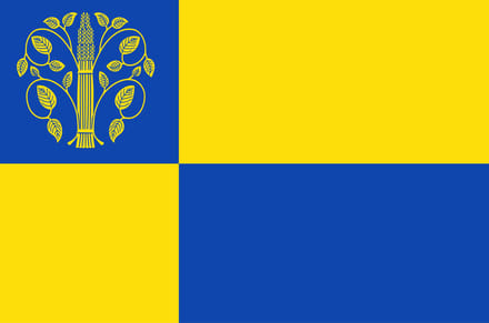 Vlag Westerwolde 70x100cm